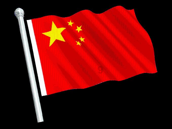 当“尔滨”火了，北极熊也开始营业整活！