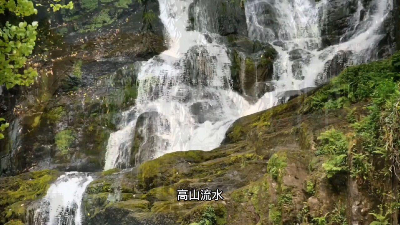 手机QQ怎么下载啊?-机智问答网页,聪明解惑,即问即得!